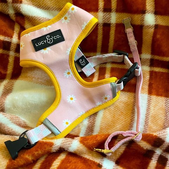 lucy and co Dog Lucy And Co Small Dog Harness And Collar My Puppy